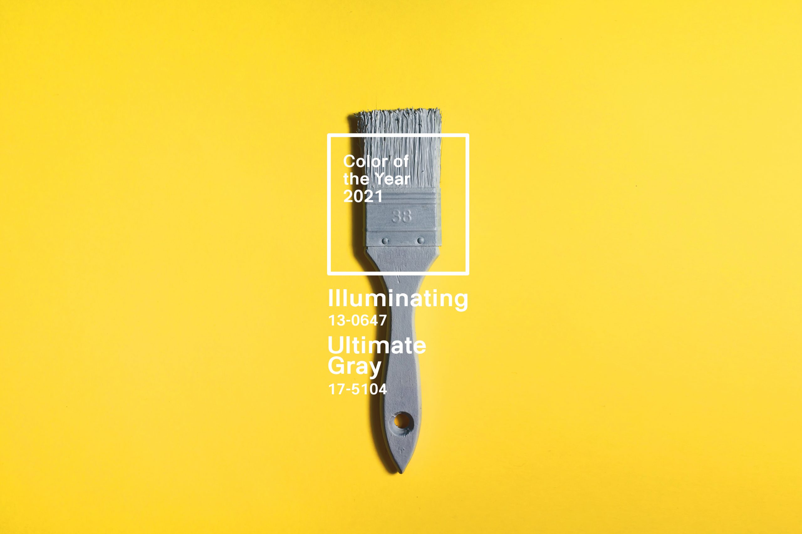 habitus - color of the year